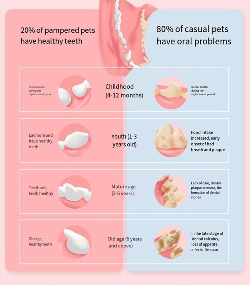 Pet Oral Care Water Additive for Dental detail 2