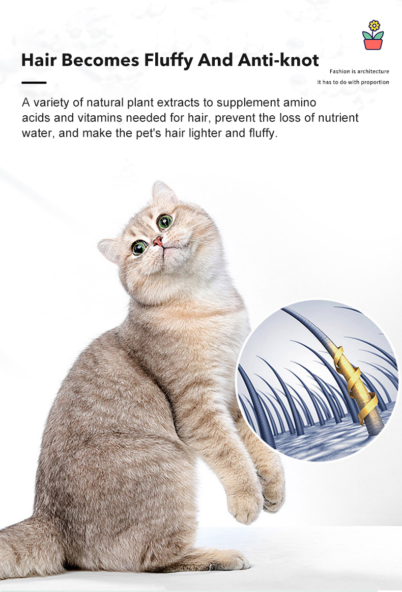 Natural Coconut Pet Shampoo 6